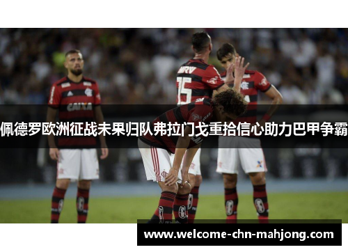 佩德罗欧洲征战未果归队弗拉门戈重拾信心助力巴甲争霸