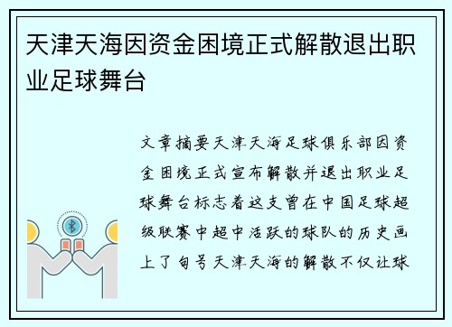 天津天海因资金困境正式解散退出职业足球舞台